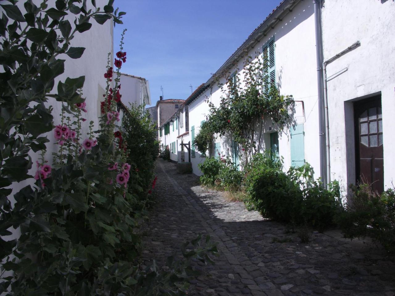 Maison Antioche Saint-Martin-de-Ré Exterior foto